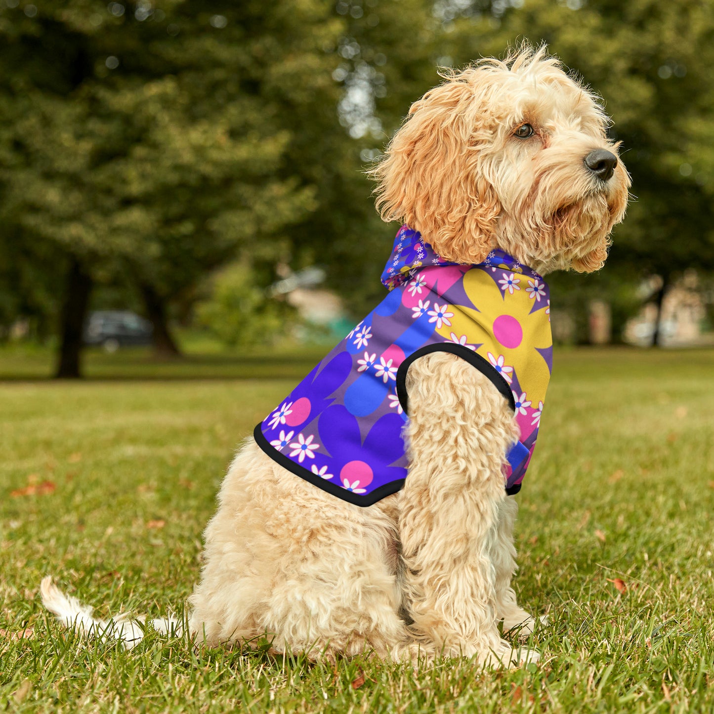 Pet Hoodie