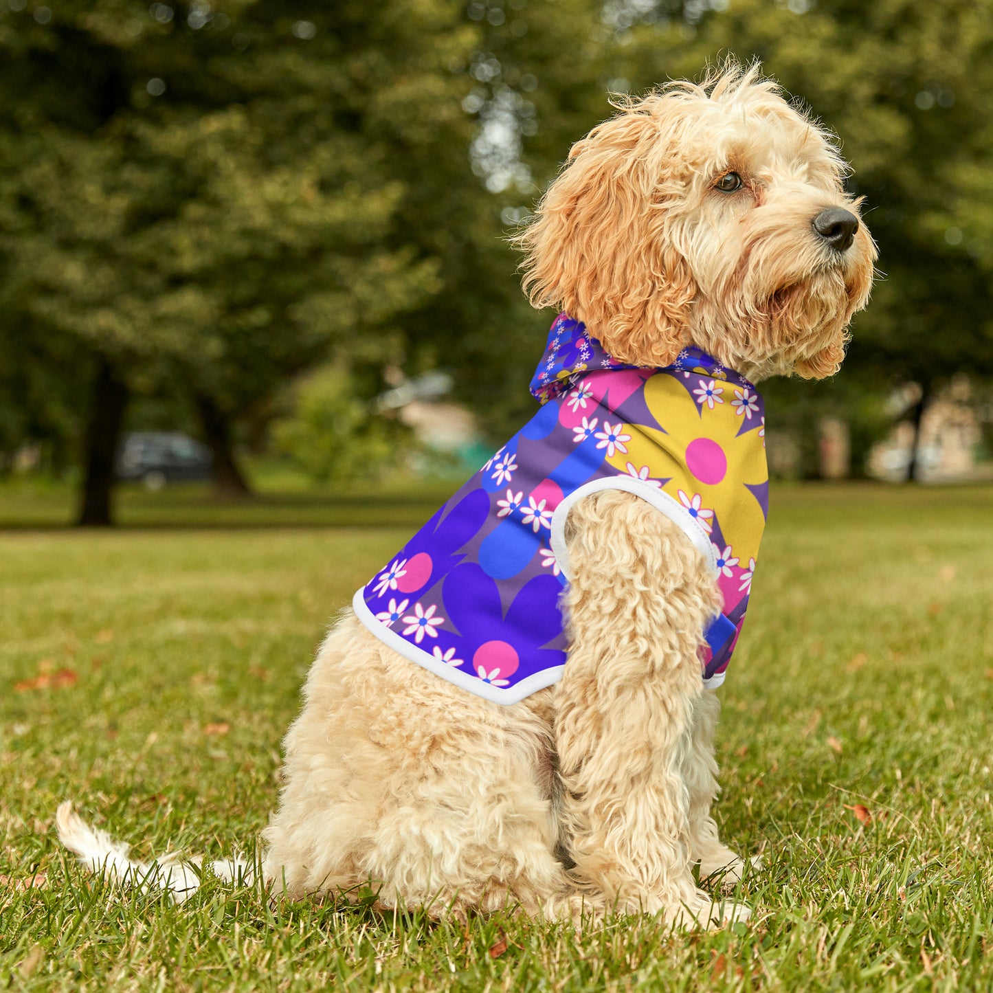 Pet Hoodie