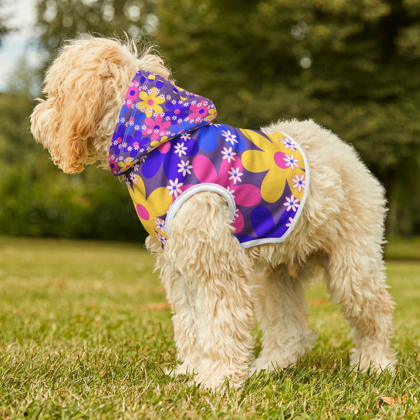 Pet Hoodie